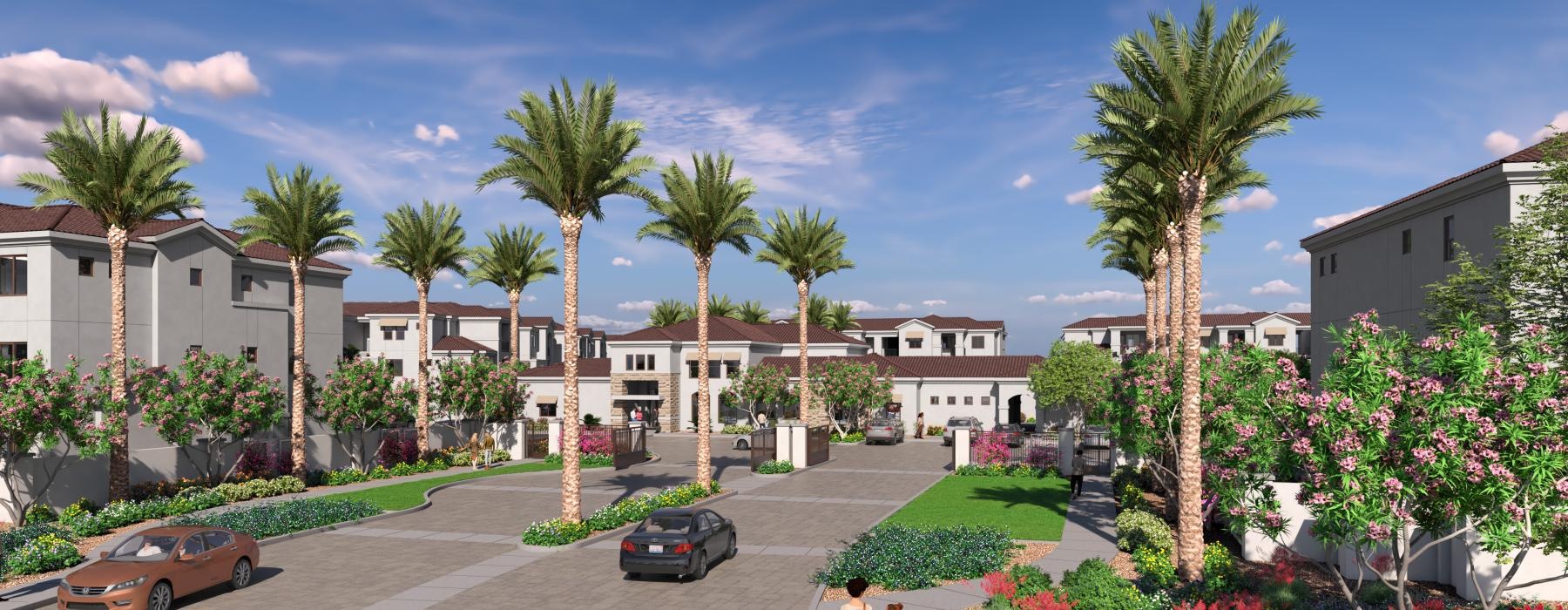 a street with palm trees and buildings